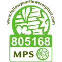 Vignet MPS-ABC EN-805168.png Vignet MPS-ABC EN-805168.png
