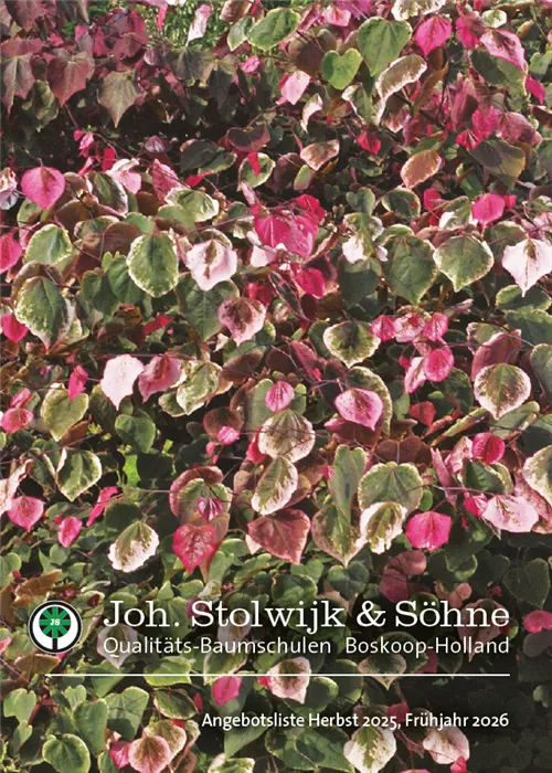 Herbst 2025, Frühjahr 2026