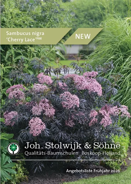 Katalog Frühjahr 2026