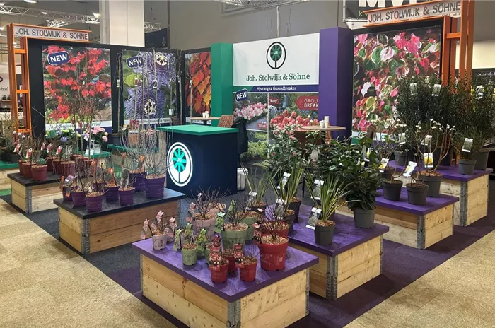 Stand IPM 2026.jpg